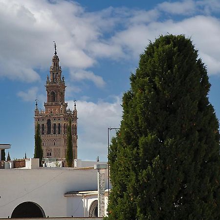 Apartamento Casa Pilatos 塞维利亚 外观 照片